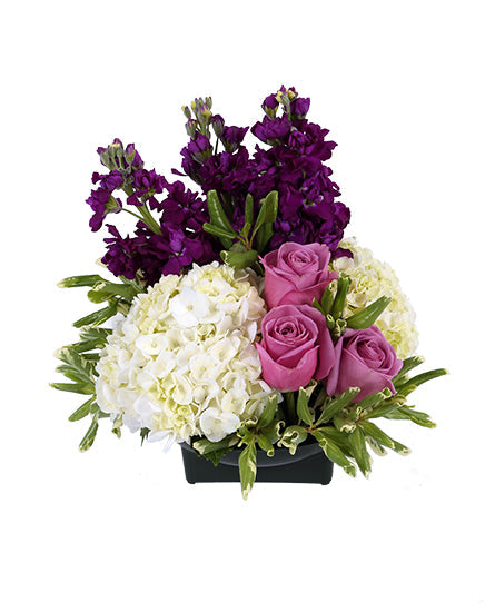 Purple Promise